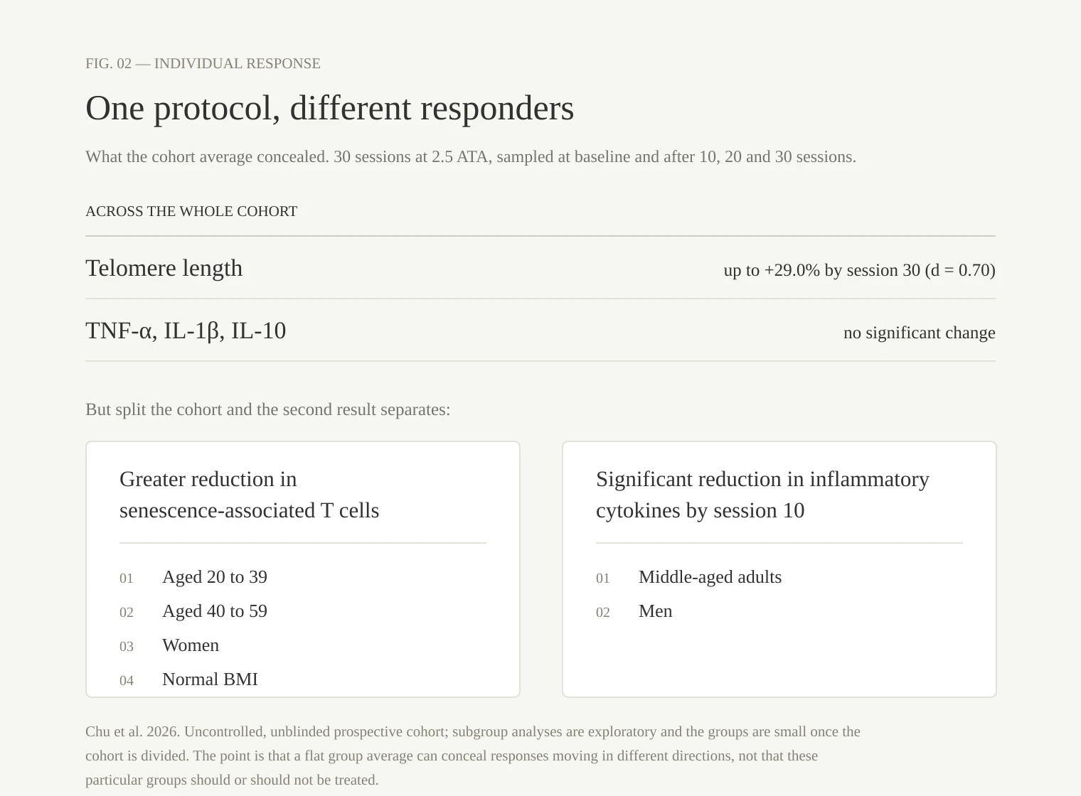 A diagram showing two cohort-wide results, a 29% rise in telomere length and no significant change in inflammatory cytokines, above two panels listing which subgroups moved on senescent T cells and which moved on cytokines by session 10.