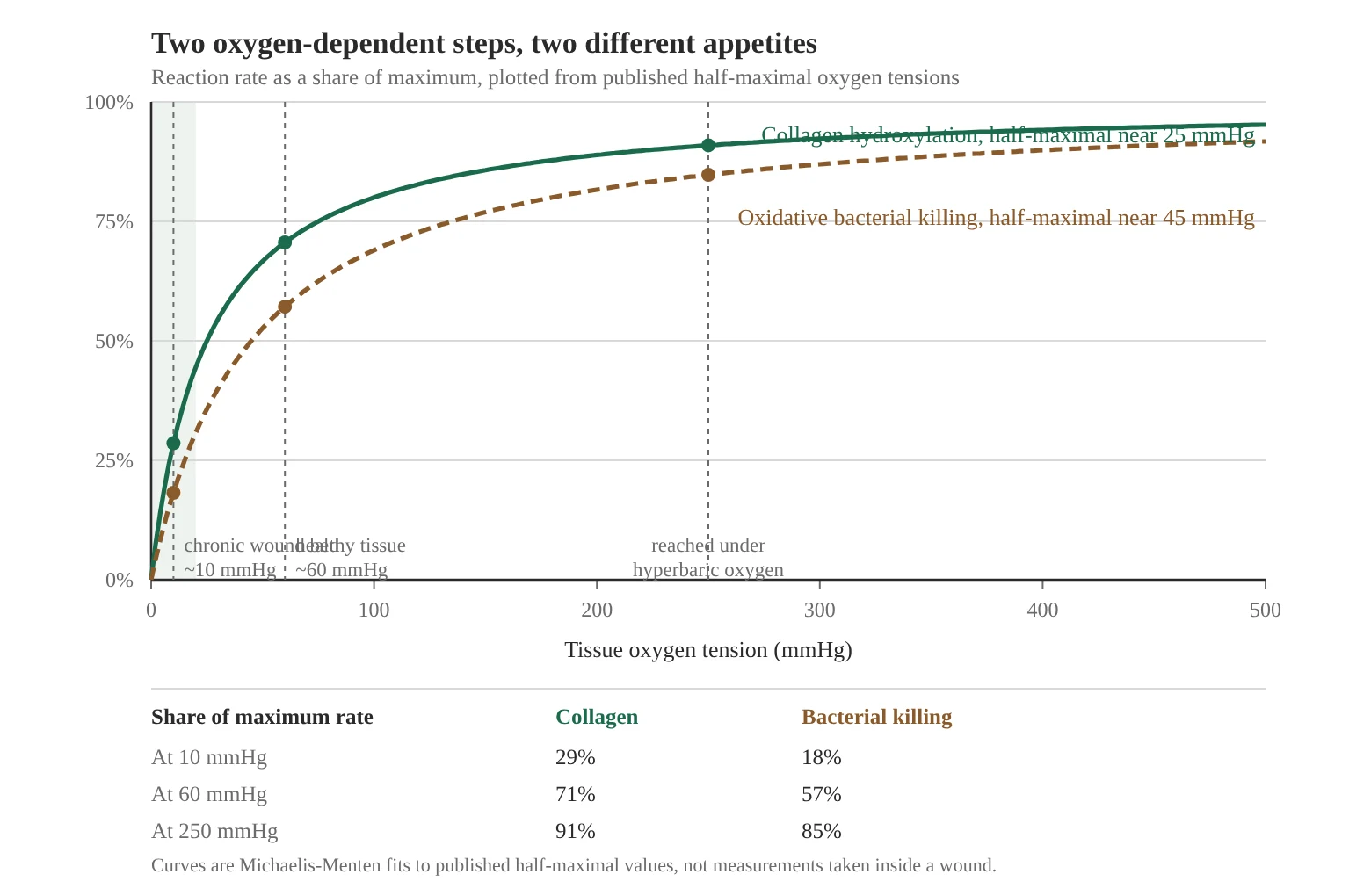 Two curves showing reaction rate as a share of maximum against tissue oxygen tension: collagen hydroxylation half-maximal near 25 mmHg and oxidative bacterial killing half-maximal near 45 mmHg, with the chronic wound bed marked at about 10 mmHg and healthy tissue at about 60 mmHg.